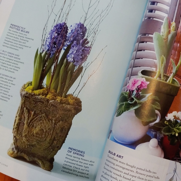 $5 ADD-ON ✨ Canadian Living Magazine - May 2011 - Picture 2 of 4